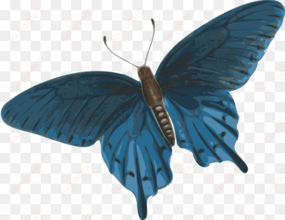 how to set use butterfly clipart