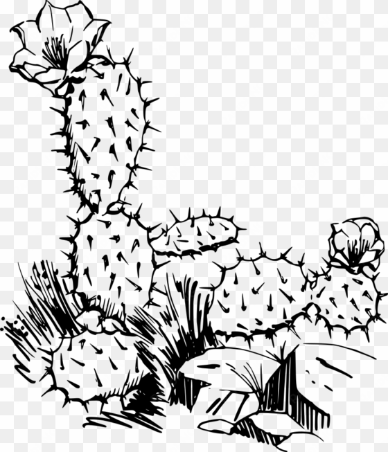 how to set use cactus svg vector