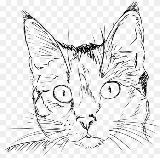 how to set use cat face clipart