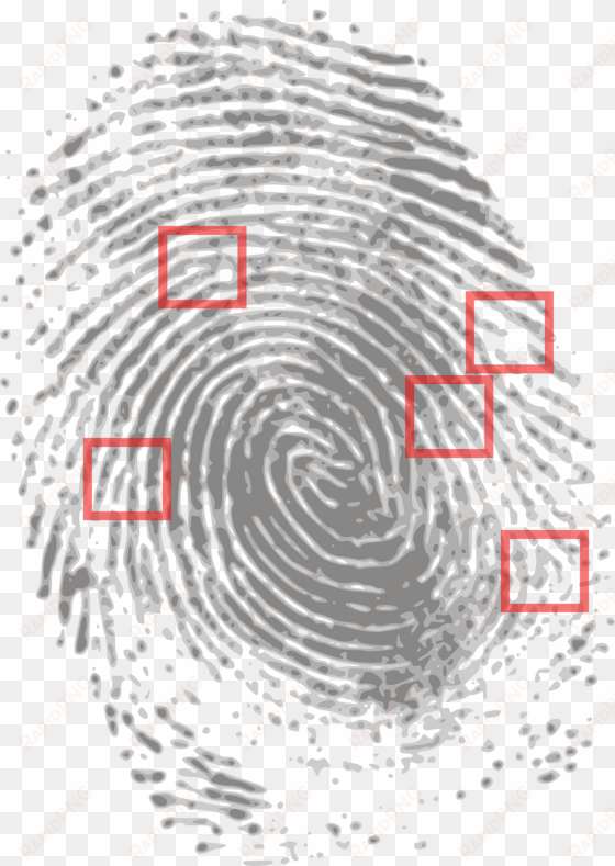 how to set use fingerprint clipart