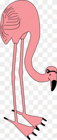 how to set use flamingo svg vector