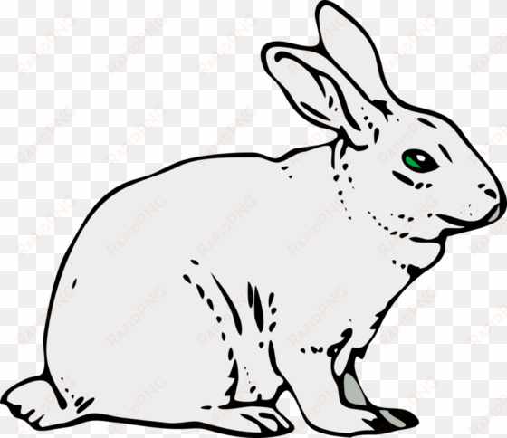 how to set use gray rabbit svg vector