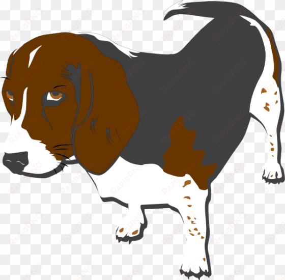 how to set use grey beagle clipart