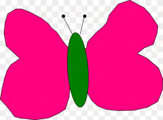 how to set use hot pink and green butterfly clipart