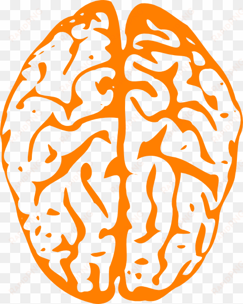 how to set use orange brain svg vector