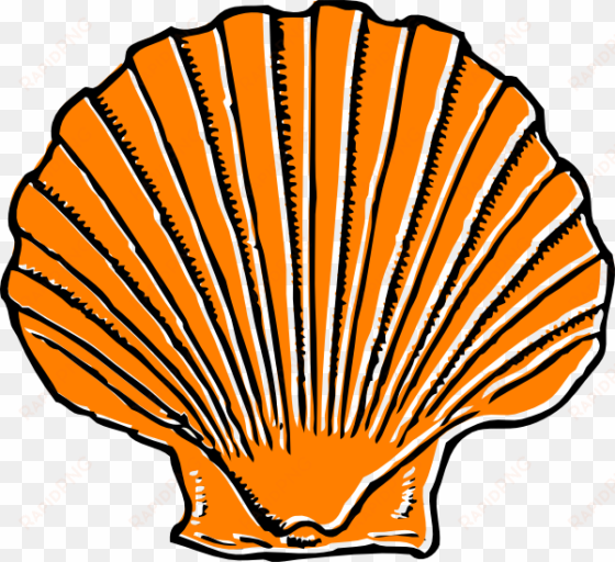 how to set use orange seashell svg vector