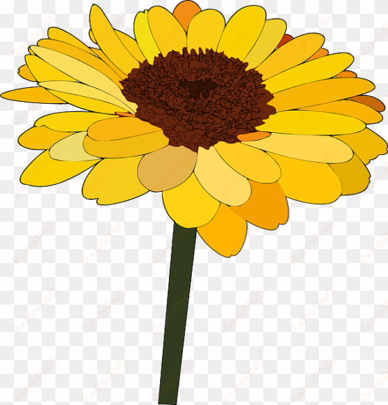 How To Set Use Single Sunflower Clipart transparent png image