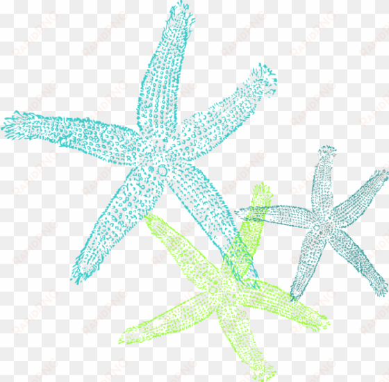 how to set use turquoise green starfish clipart