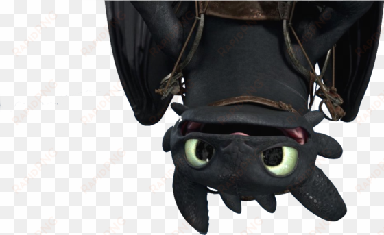 "how To Train Your Dragon" - Toothless Dragon Upside Down transparent png image