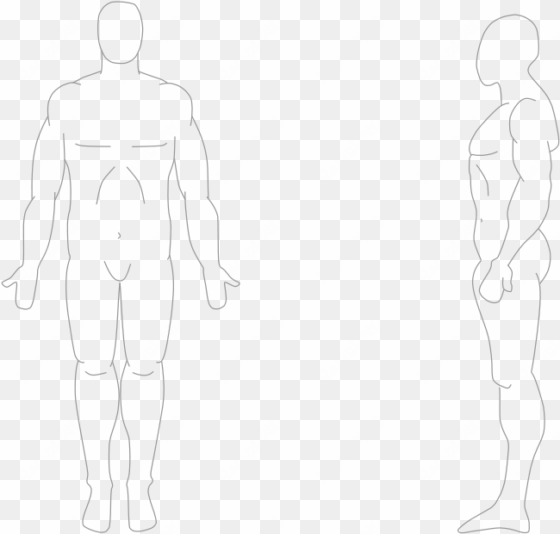 human body front and side - human from front and side