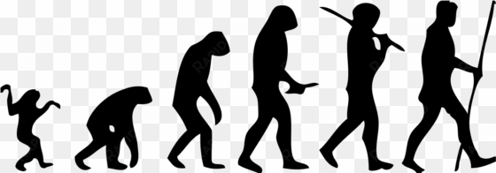 human evolution scheme - human evolution png