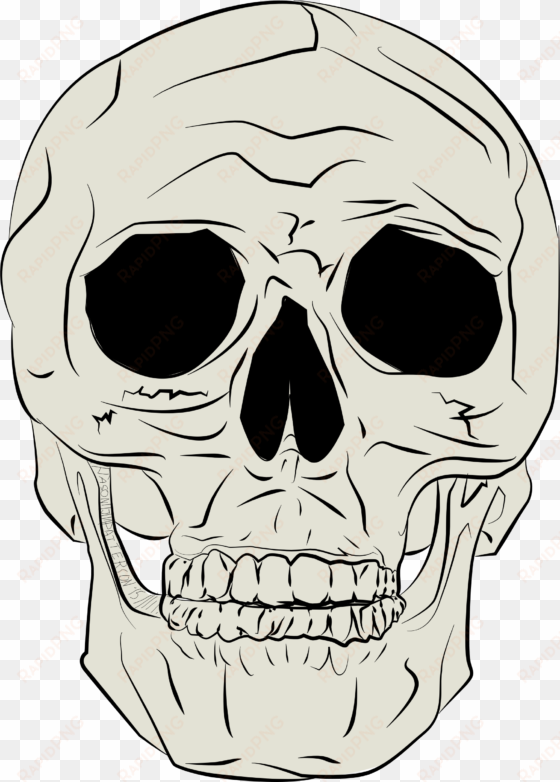 human skull by jp real skull png - tengkorak manusia vektor