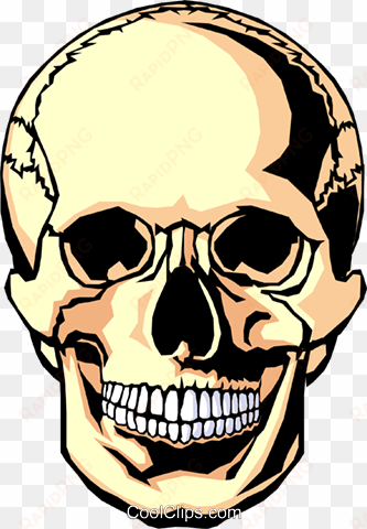 human skull royalty free vector clip art illustration - skull coloring pages