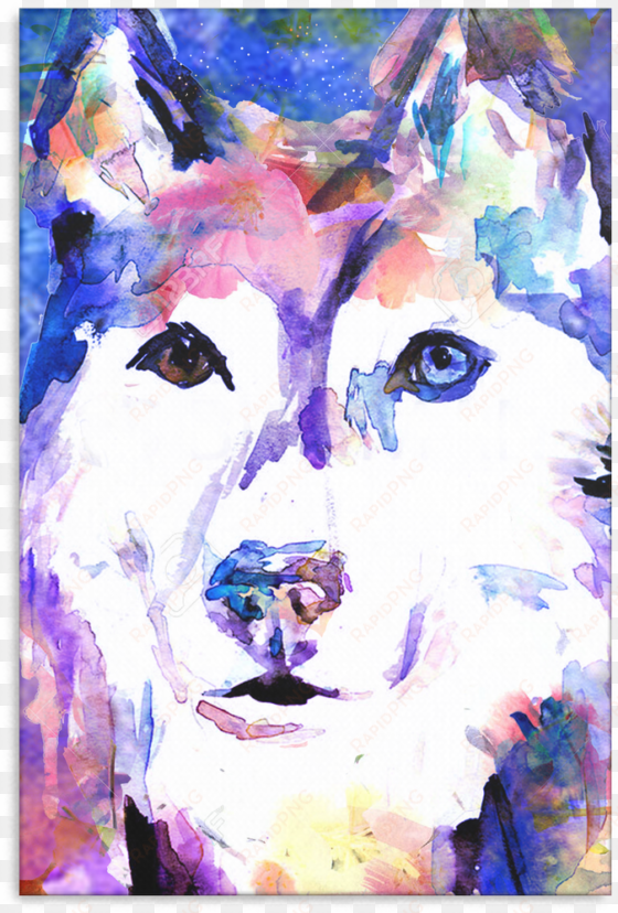 husky canvas p73 - watercolor animal self paintings