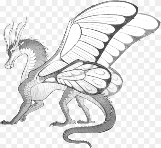 hybrids and special dragons - wings of fire blue silkwing