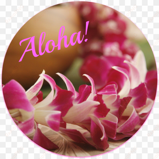 i assume you know what a lei is - hawaiian lei