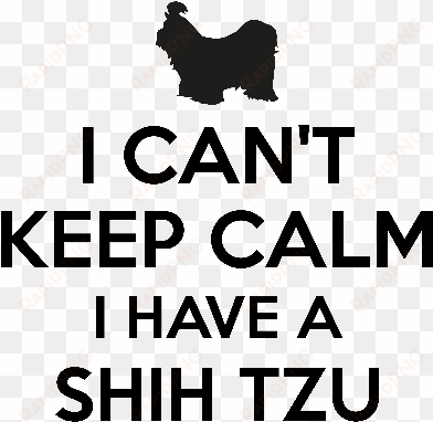 i cant keep calm i have a shih tzu - can't keep calm i'm going to be a big brother to baby