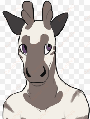 i didn't forget to upload shh - giraffe