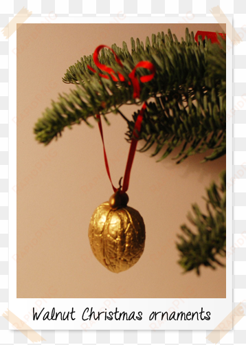 I Thought It Would Be Fun To Hang Some On The Christmas - Gold Walnut Christmas Decorations transparent png image
