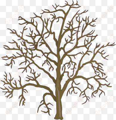 Ian Symbol Dead Tree 1 - Dead Tree Drawing transparent png image