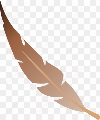 ian symbol feather - illustration
