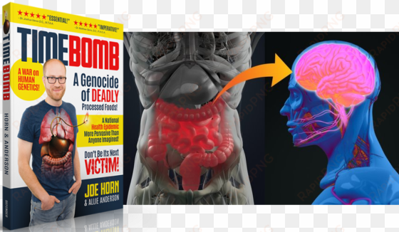 if you had to guess the organ that has undue influence - pit of the gut