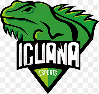 iguana esportslogo square - iguana team