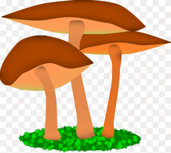 illustration friday - “mushroom”