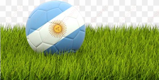 illustration of flag of argentina - indian flag with football