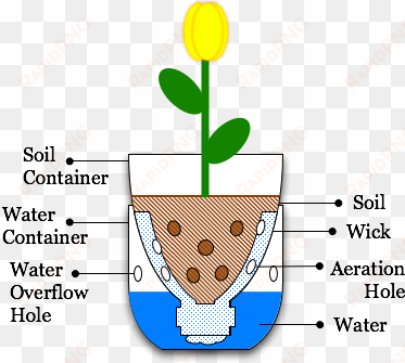 illustration sub irrigated planter from pop bottle - sub irrigated planter