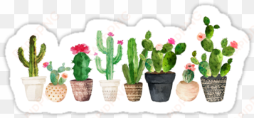 illustrations - cactus laptop sleeve - 13"