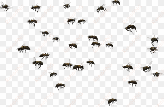 image black and white download beehive swarming clip - bees swarm clip art