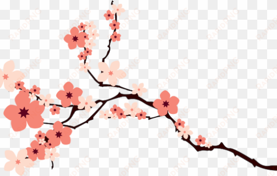 image cherry blossoms by krist n on deviantart - cherry blossom transparent background