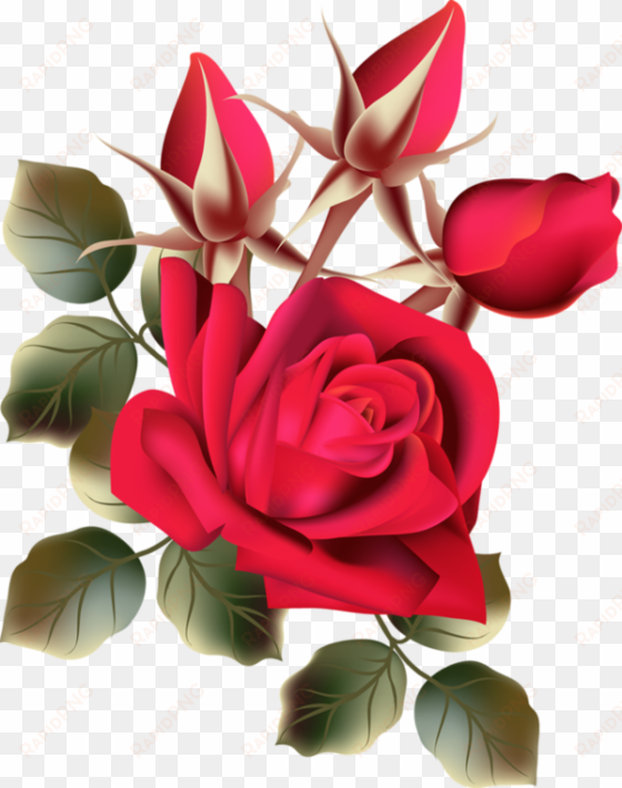 image du blog zezete2 - fresh rose flowers png