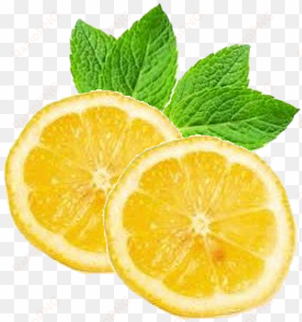 image freeuse limon free on dumielauxepices net - mint lemon png
