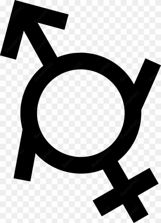 image genderfluid boy girl png gender wiki - world were a village