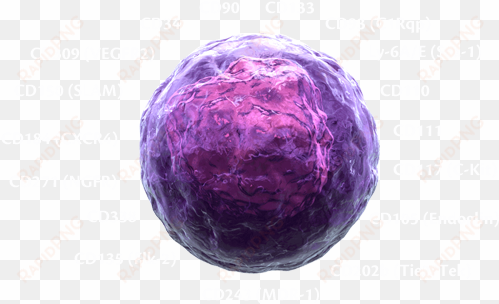 Image Hemo-stem - Hematopoietic Stem Cell 3d transparent png image