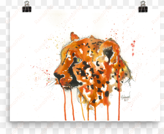 image of 'cheetah' - illustration