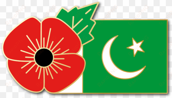 image of pakistan fmn poppy/flag combo medal - red poppy lapel pin enamel badge lest we forget brooch