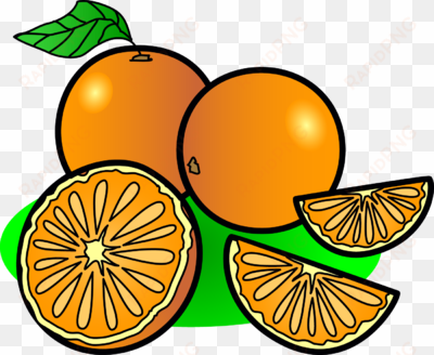 image oranges food clip art png - oranges clip art