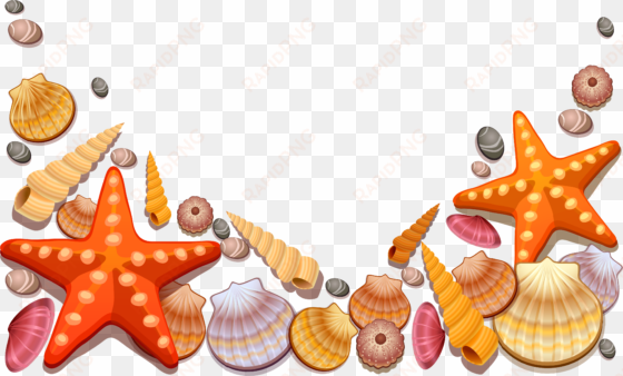 image royalty free library colorful seashell clipart - sea shells shower curtain