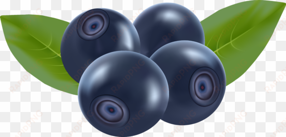 image transparent stock clipart pile free on dumielauxepices - blueberries clipart png