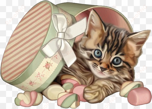 imageedit 15 9424479603 cat colors, cute cats, kittens - cat