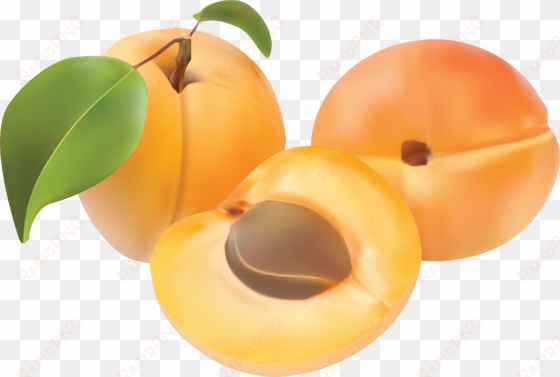 imagenes de frutas para decoupage