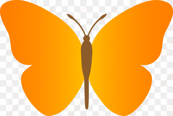 images of butterfly clipart clipartfest 2 clipartbarn - orange butterfly clip art