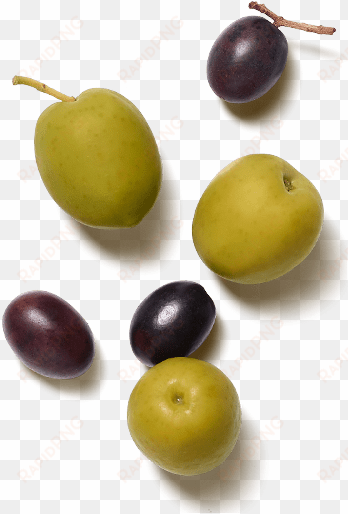 images - olive