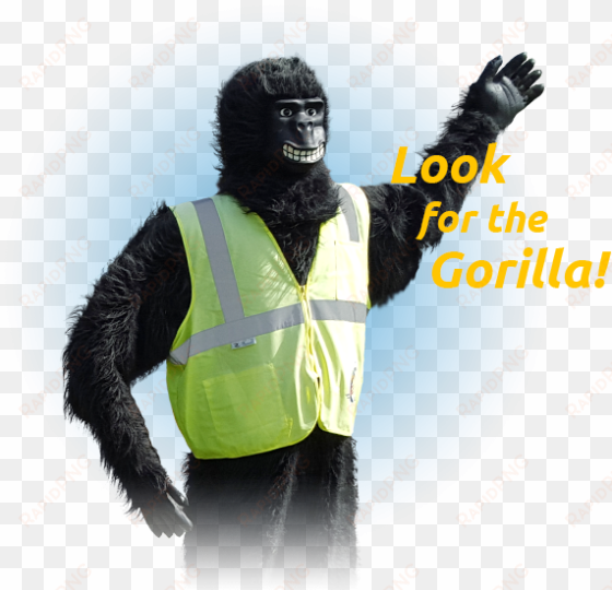 img allpages gorilla - gorilla in hi viz