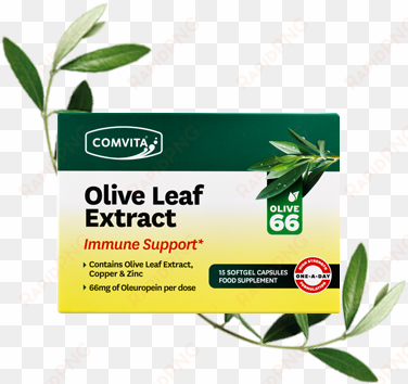 immune support olive leaf extract capsules - comvita olive leaf 15 capsules