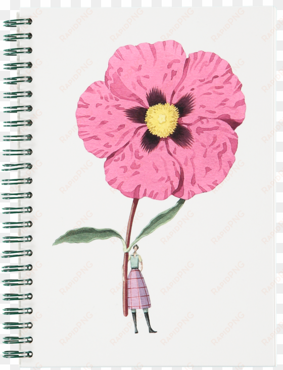 in bloom a5 wiro notebook laura stoddart - tea