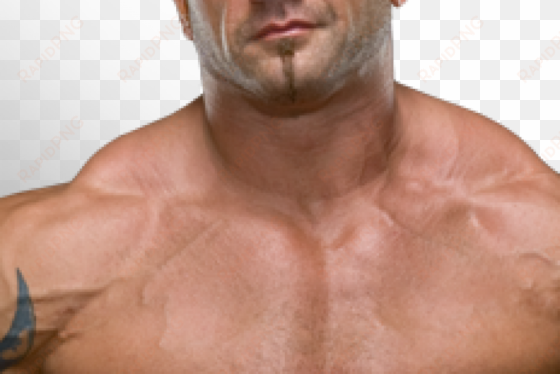 in his first wwe match since 2010, batista might have - batista